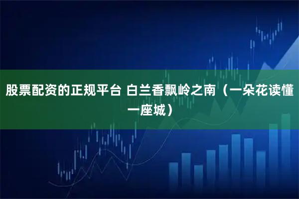 股票配资的正规平台 白兰香飘岭之南（一朵花读懂一座城）